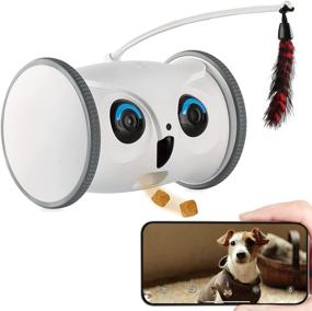 img 4 attached to 🦉 SKYMEE Owl Robot: Intelligent Pet Camera & Treat Dispenser with Remote Phone App Control - Interactive Toy for Dogs & Cats (1080P FHD, 2.4G WiFi)