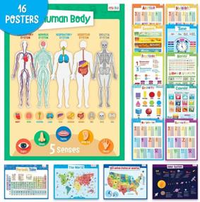 img 4 attached to 16Pc Educational Classroom Posters Kit For Elementary, Preschool & Homeschool - Periodic Table, World Map, Solar System, Body Chart, Time, Money Math And More!