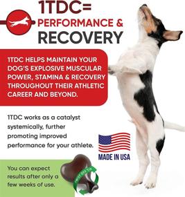 img 1 attached to 1TDC Dual Action SoftGels for Dogs & Cats - Natural Support for Periodontal & Joint Health. 4-in-1 Wellness Formula Promotes Oral, Hip & Joint Health, Muscle & Stamina Recovery, and Skin & Coat Health.