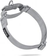 heavy duty nylon anti-escape martingale collar for large dogs - professional training, daily use walking (large, sleet gray) logo