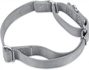 img 2 attached to Heavy Duty Nylon Anti-Escape Martingale Collar For Large Dogs - Professional Training, Daily Use Walking (Large, Sleet Gray)