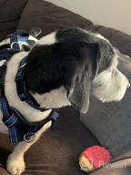 img 1 attached to WINSEE Pet Harness Collar And Leash Set, All-In-One Reflective Dog Harness No Pull With Adjustable Buckles For Puppies, Small, Medium, Large, And Extra-Large Dogs (Small, Black) review by Tim Nicholas