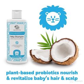 img 3 attached to HEROLIFE Probiotics Baby Shampoo - Plant-Based, Gentle, Tear-free, Hypoallergenic for Sensitive Skin & Hair - Paraben-Free, Sulfate-Free - 2 Packs of 10.1 FL OZ (Total 20.2 FL OZ)