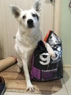 img 1 attached to Dry food for older dogs GO! Carnivore, chicken, turkey, duck, salmon 1 pack x 1 pc. x 1.59 kg review by Wiktor Niekrasz ᠌
