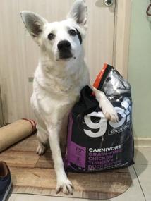 img 9 attached to Dry food for older dogs GO! Carnivore, chicken, turkey, duck, salmon 1 pack x 1 pc. x 1.59 kg