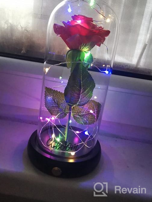 img 1 attached to CGBOOM Beauty And The Beast Immortal Rose Gift Set: Decorative LED Lamp With Forever Flower In Glass Dome And Wooden Base - Perfect For Christmas, Valentine'S Day, And Mother'S Day Gifts For Lovers review by Phillip Samuel