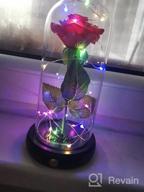 img 1 attached to CGBOOM Beauty And The Beast Immortal Rose Gift Set: Decorative LED Lamp With Forever Flower In Glass Dome And Wooden Base - Perfect For Christmas, Valentine'S Day, And Mother'S Day Gifts For Lovers review by Phillip Samuel