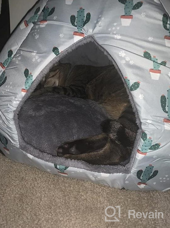 img 1 attached to Hollypet Self-Warming Cat Tent For Kittens And Small Dogs - 2 In 1 Triangle Feline House Hut With Washable Cushion - Indoor/Outdoor Pet Bed - Gray Antler - 16 X 16 X 17 Inches review by Justin Kautzman