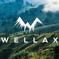 wellax логотип
