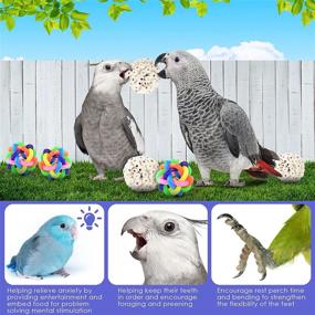 img 1 attached to 🐦 Bissap Bird Shreddable Toy, Parrot Sola Balls Chew Shred Colorful Beak Jingle Bell Foot Balls for Cockatoos, Parakeets, Mynahs, Budgerigars, and Love Birds - Set of 6