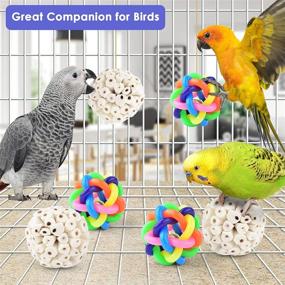 img 3 attached to 🐦 Bissap Bird Shreddable Toy, Parrot Sola Balls Chew Shred Colorful Beak Jingle Bell Foot Balls for Cockatoos, Parakeets, Mynahs, Budgerigars, and Love Birds - Set of 6