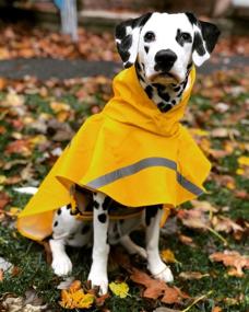 img 3 attached to 🐶 HAPEE Dog Raincoats: Reflective Strip Hoodie & Rain Poncho Jacket for Dogs