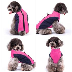 img 3 attached to 🐶 Dog Winter Coat for Small Dogs & Cats - Fleece Lined Warm Reflective Jacket with Zipper Closure and Leash Ring for Walking Hiking - Cold Weather Dog Vest by Didog