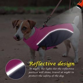 img 2 attached to 🐶 Dog Winter Coat for Small Dogs & Cats - Fleece Lined Warm Reflective Jacket with Zipper Closure and Leash Ring for Walking Hiking - Cold Weather Dog Vest by Didog