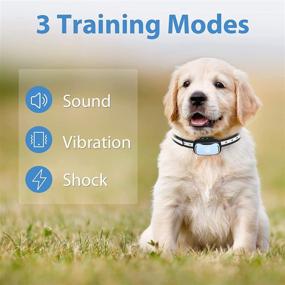img 2 attached to Rechargeable Shock Collar for Small Dogs & Cats: Effective Remote Training Collar with Waterproof Design and 1000Ft Range