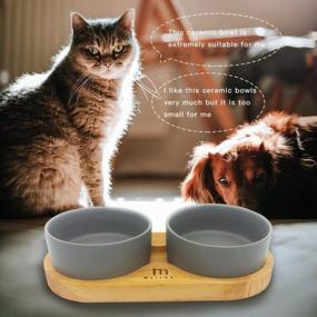 img 2 attached to Marchul Cat Ceramic Bowls, Double Feeding Dishes For Food And Water, Wood Food Stand Feeder Set For Cats And Small Dogs, Dishwasher And Microwave Safe(Grey)