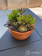 img 1 attached to Set Of 2 POTEY 6.1" Terracotta Planters W/ Drainage Hole For Succulent & Cactus review by Alex May