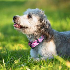 img 1 attached to 🌸 SEO-оптимизированный ошейник типа мартингейл с цветочным узором для собак-девочек, розовый, крупно-средний размер, объем шеи 12-17 дюймов.
