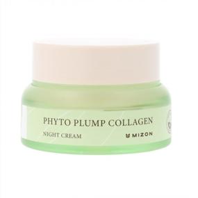 img 4 attached to НОЧНОЙ КРЕМ MIZON Phyto Plump Collagen, увлажняющая веганская формула с растительным коллагеном против морщин (50 мл/1,69 унции)