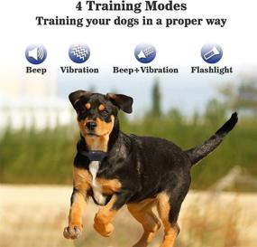 img 3 attached to 🐶 Rechargeable Remote Dog Training Collar by Petjoy - Non-Shock, 3 Training Modes, Up to 2800 Ft Range, IPX7 Waterproof - Suitable for Small, Medium, and Large Dogs (Includes 3 Collars)