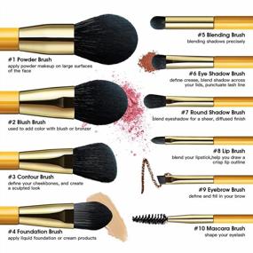 img 3 attached to EIGSHOW Premium Synthetic Makeup Brush Set - Vegan 10Pcs Yellow Brushes For Flawless Foundation, Blending, Face Powder, Lip Blush, Contour And Eyeshadow Application - Cruelty-Free