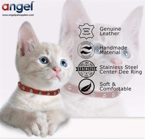 img 1 attached to Angel Pet Supplies Leather Studded Cats ~ Collars, Harnesses & Leashes