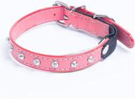 angel pet supplies leather studded cats ~ collars, harnesses & leashes logo