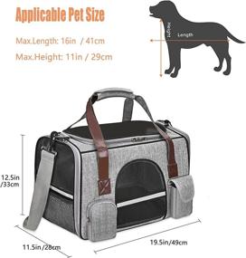 img 2 attached to 🐱 Premium Collapsible Cat Carrier Travel Bag for Dogs Small Medium Cats by MIYCOO - Soft-Sided and Convenient (Large)