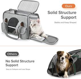 img 3 attached to 🐱 Premium Collapsible Cat Carrier Travel Bag for Dogs Small Medium Cats by MIYCOO - Soft-Sided and Convenient (Large)