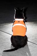 🐶 high visibility 2pet dog hunting vest and reflective safety vest - safeguard your pet from car and hunting accidents in urban and rural areas - wide range of colors and sizes available logo