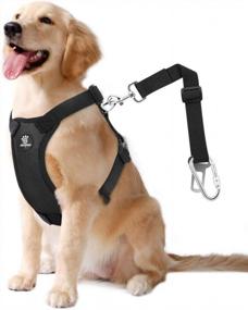 img 4 attached to VavoPaw Dog Vehicle Safety Vest Harness, Adjustable Soft Padded Mesh Car Seat Belt Leash Harness With Travel Strap And Carabiner For Most Cars, Size Extra Large, Black