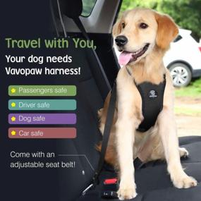 img 2 attached to VavoPaw Dog Vehicle Safety Vest Harness, Adjustable Soft Padded Mesh Car Seat Belt Leash Harness With Travel Strap And Carabiner For Most Cars, Size Extra Large, Black