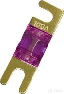 5-pack mini anl 100 amp gold-plated car audio fuses - 100a logo