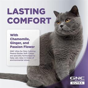 img 1 attached to 🐱 GNC Pets Ultra Cat Supplements - Cat Vitamins and Supplements, Pet Supplements for Cat Health - Chicken Flavored Dog Soft Chews - Cat Chews for Calming, Digestion, Skin &amp; Coat - Made in USA