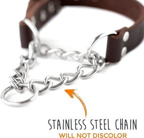 img 2 attached to 🔗 Enhanced SEO: Premium Quality Limited Chain Cinch Collar - Mighty Paw Leather Training Collar, Martingale Collar, Stainless Steel Chain