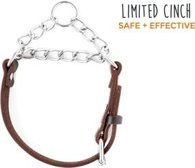 img 3 attached to 🔗 Enhanced SEO: Premium Quality Limited Chain Cinch Collar - Mighty Paw Leather Training Collar, Martingale Collar, Stainless Steel Chain