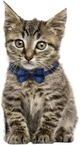 img 1 attached to 🐱 Lamphyface 2 Pack/Set Plaid Cat Collar Breakaway with Cute Bow Tie, Bell, and Adjustable Safety for Kitty