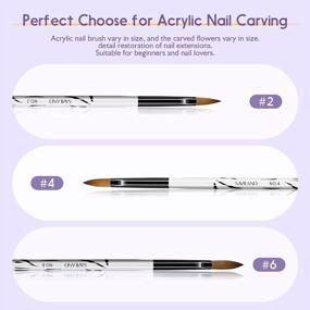 img 1 attached to 3Pcs Kolinsky Acrylic Brush Set For 3D Nail Art - Size 2/4/6 With Zebra Handle & Acrylic Powder For Carving, Extension & Designing.