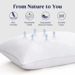 img 2 attached to Hotel Collection King Size Pillows For Sleeping - Set Of 2 Medium Firm Goose Feather And Polyester Bed Pillows With Silver Piping By Puredown®