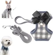 harness adjustable comfort animals harnesses cats best in collars, harnesses & leashes logo