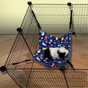 img 3 attached to 13.8-Inch Guinea Pig, Ferret Rat Hammock Bed Cage Accessories Kit Set With Hideouts Cave And Staff House - FULUE