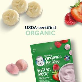 img 1 attached to 🍓 Organic Red Berries Yogurt Melts by Gerber Baby Snacks - 1 Ounce, Pack of 7