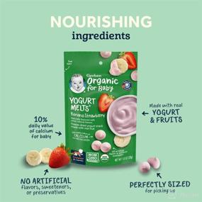 img 2 attached to 🍓 Organic Red Berries Yogurt Melts by Gerber Baby Snacks - 1 Ounce, Pack of 7