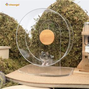 img 3 attached to 🐹 Niteangel Silent Hamster Exercise Wheel: Ultra-Quiet Dual-Bearing Spinning Acrylic Wheel for Small Animals