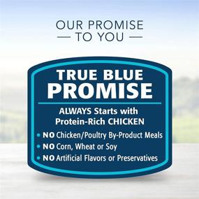 img 1 attached to 🐱 Blue Buffalo Healthy Gourmet Natural Adult Meaty Morsels Wet Cat Food Chicken 3-oz Cans (Pack of 24): Nourishing Delicacy for Your Feline Companion