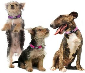 img 2 attached to Premium Quality Azuza 3 Pack Dog Collars: Soft and Comfortable Collars for All Dog Sizes - 4 Sizes and 2 Patterns