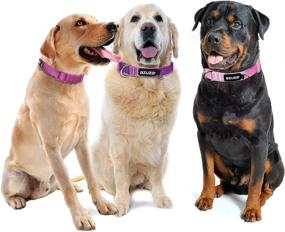 img 3 attached to Premium Quality Azuza 3 Pack Dog Collars: Soft and Comfortable Collars for All Dog Sizes - 4 Sizes and 2 Patterns