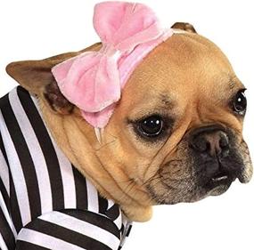 img 2 attached to 🐶 Rubie's 1950s Retro Girl Pet Costume