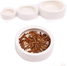img 2 attached to Reptile Ceramics Anti Escape Mealworm Bearded Reptiles & Amphibians for Terrarium Bowls