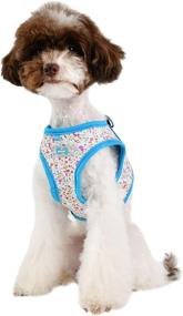 img 1 attached to 🐾 “Puppia Wildflower Harness B - Sky Blue - L: Stylish and Comfortable Dog Harness”